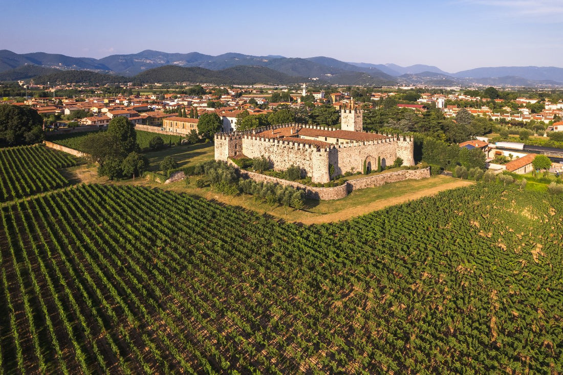 Franciacorta: Terra di Vini Unici ed Autentici nel Cuore della Lombardia