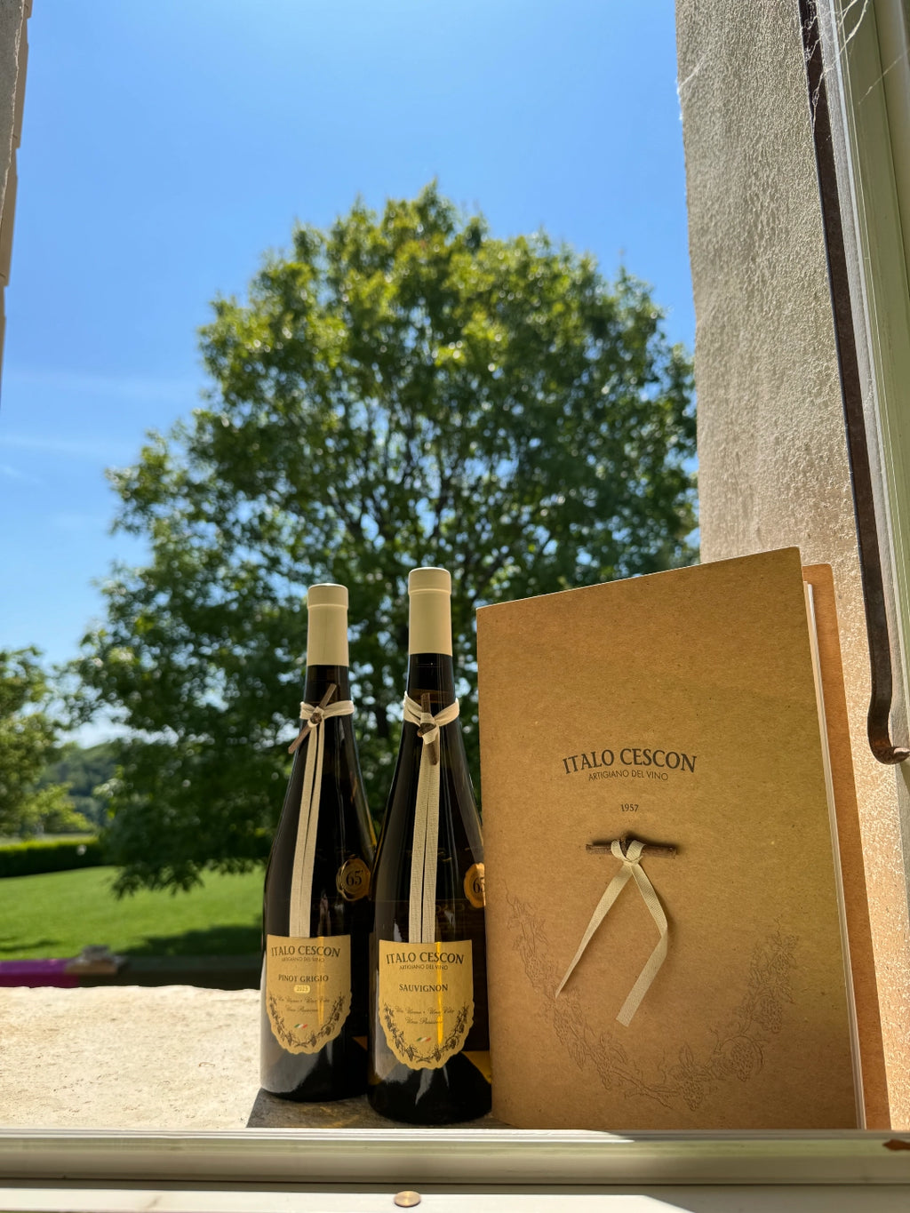 Sauvignon Veneto I.G.T.  -  Italo Cescon - vaigustando