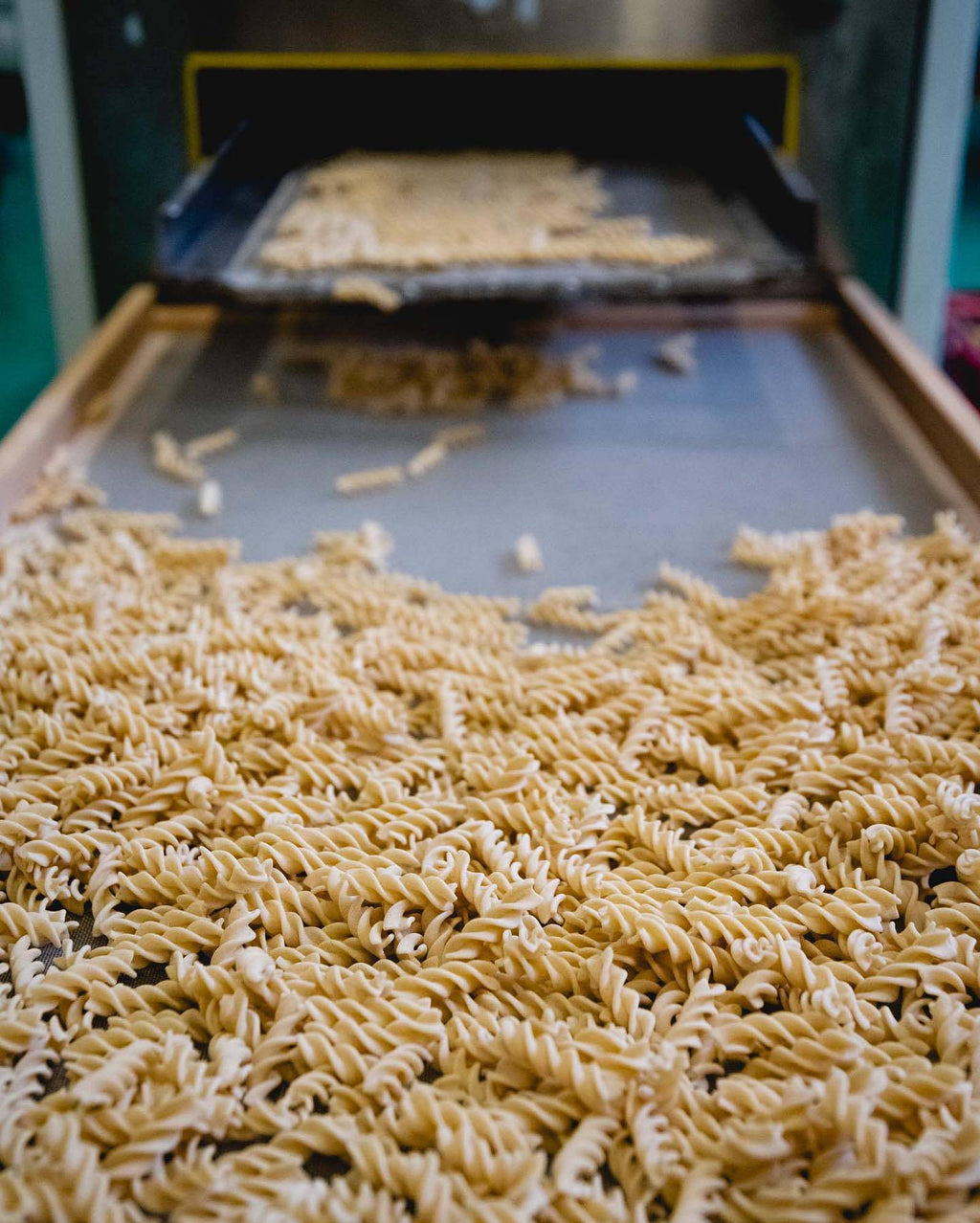 Pasta Integrale Grano Duro Linea Oro  Fusilli 500g - BIO  -  Mulino Terrevive - vaigustando