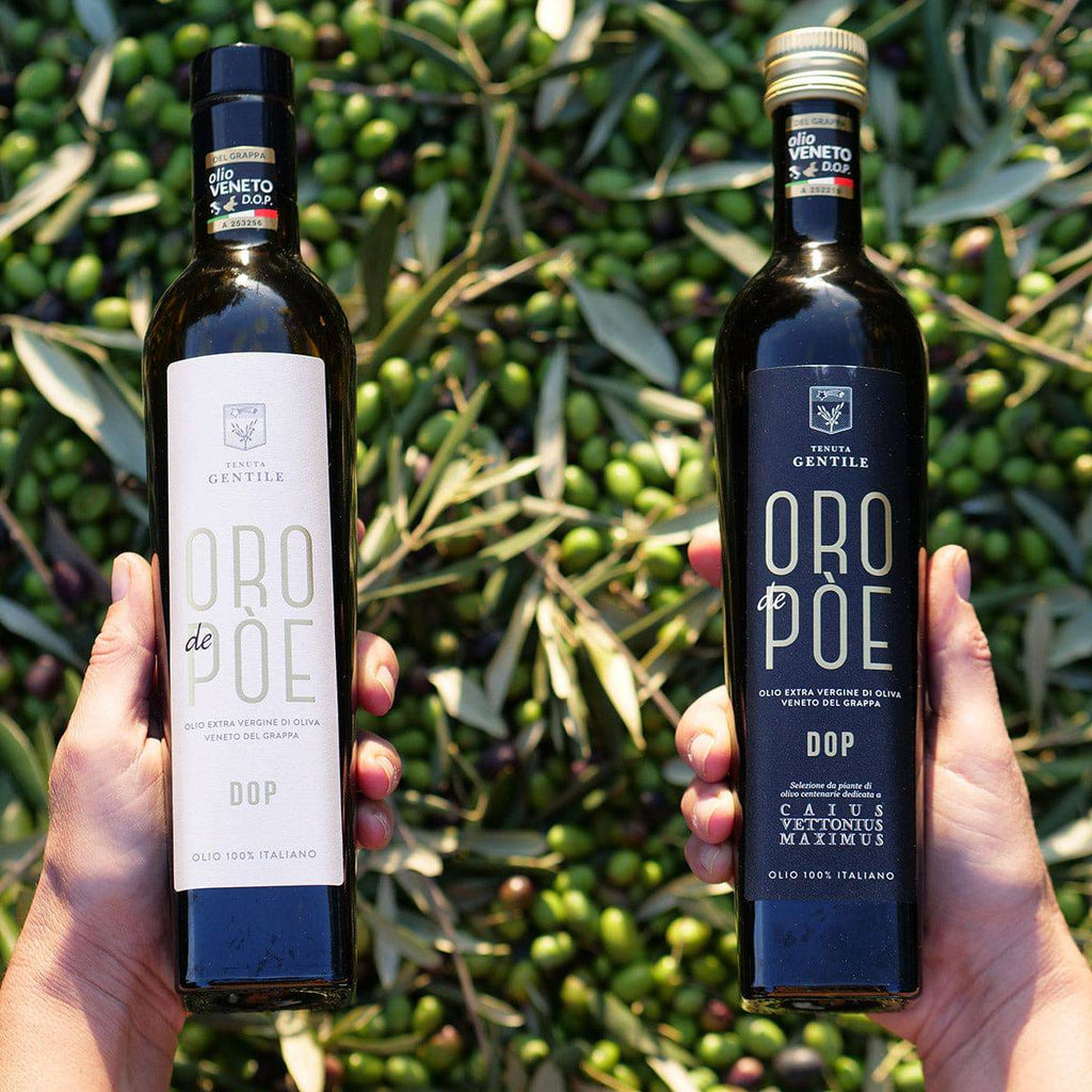 Olio Extravergine Veneto del Grappa DOP Presidio Slow Food 500ml confezione regalo  -  Oro de Pòe - vaigustando