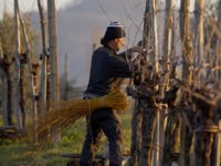 Asolo Prosecco Superiore DOCG Magnum Duse Millesimato Dry annata 2018